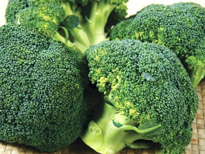西兰花蔬菜配送