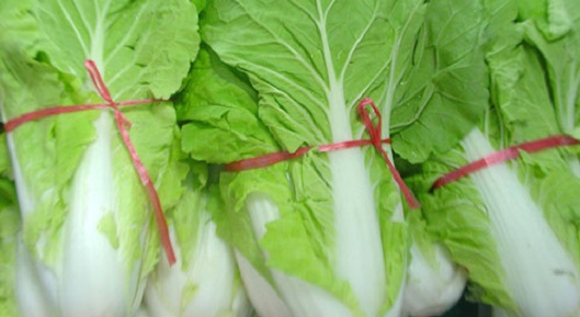 寮步蔬菜配送有哪些好处？你知道吗？