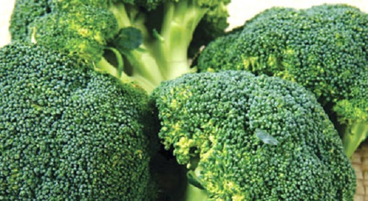 东莞食堂承包公司应该怎么样开？