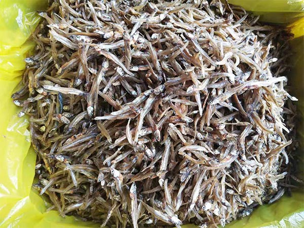 小鱼干销售