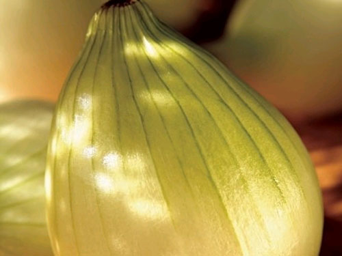 东莞蔬菜价格