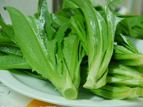 东莞蔬菜配送