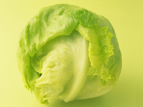 生菜