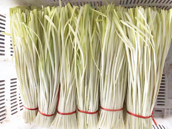 奥马资料大全172
