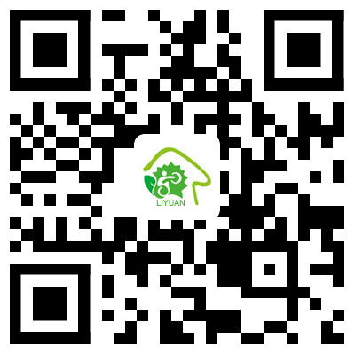 手机网站