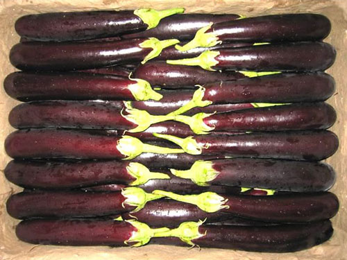 茄子