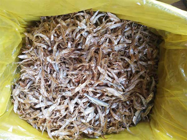 小鱼干配送