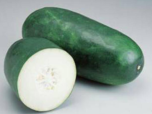 东莞蔬菜批发
