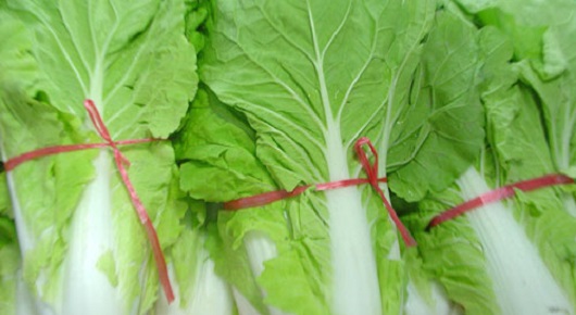 寮步蔬菜配送它的配送方案有哪些？